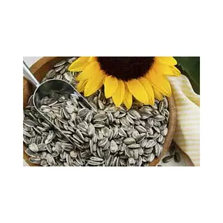Semilla De Girasol